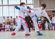 Karate tournament organized for Vietnamese expats in Japan